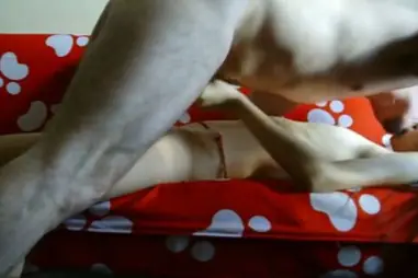 Live ABG Bispak Jakarta Di Hotel Bintang Lima Skandal WOT